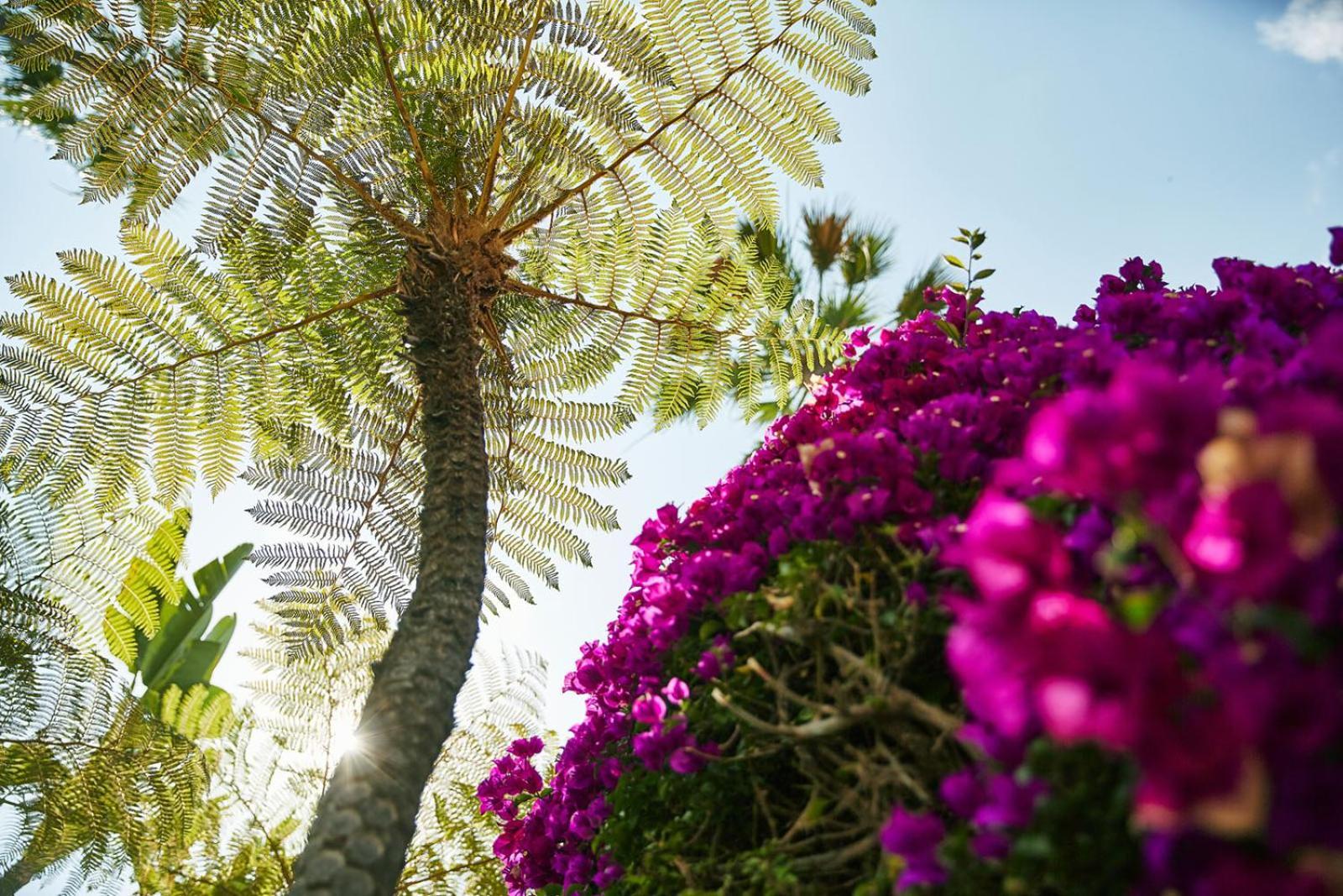 The Beverly Hills Hotel - Dorchester Collection Los Angeles Esterno foto